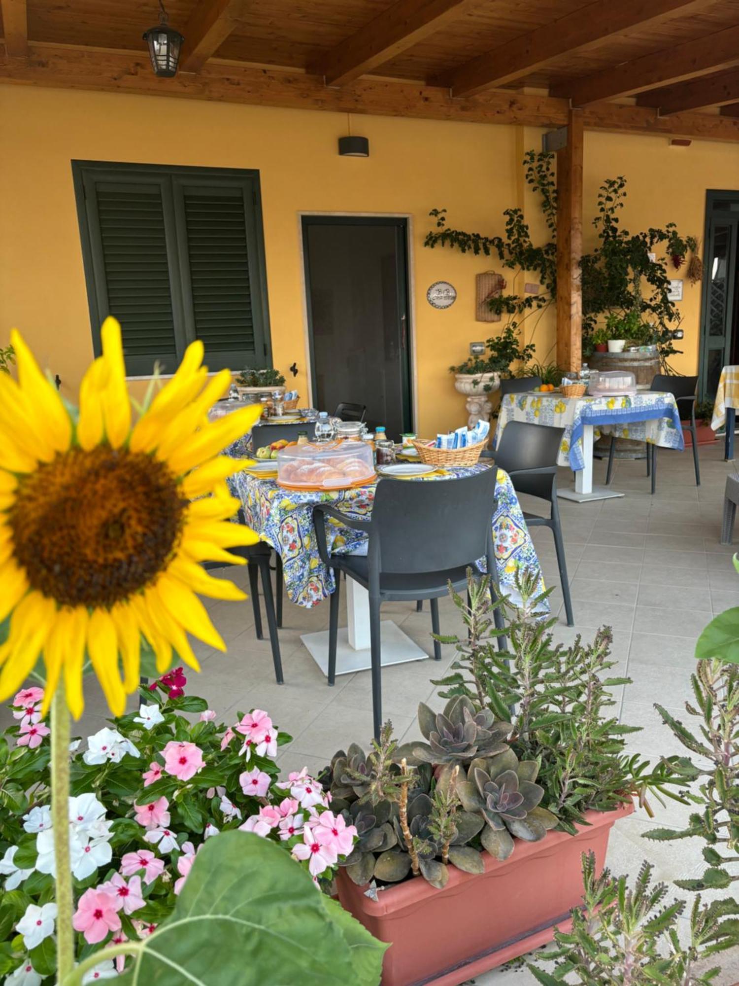 B&B Casa Martina Giungano Екстериор снимка